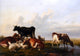 Thomas Sidney Cooper Cattle and Sheep Probably in Canterbury Meadows Canvas Wrap