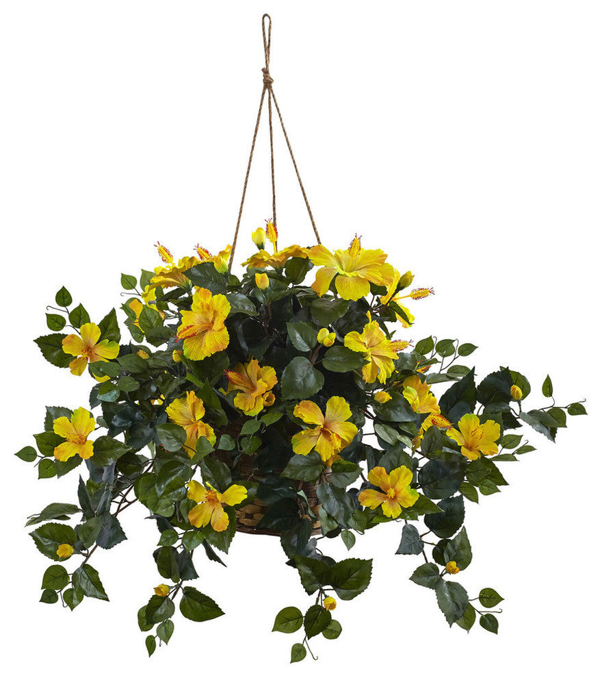 Hibiscus Hanging Basket