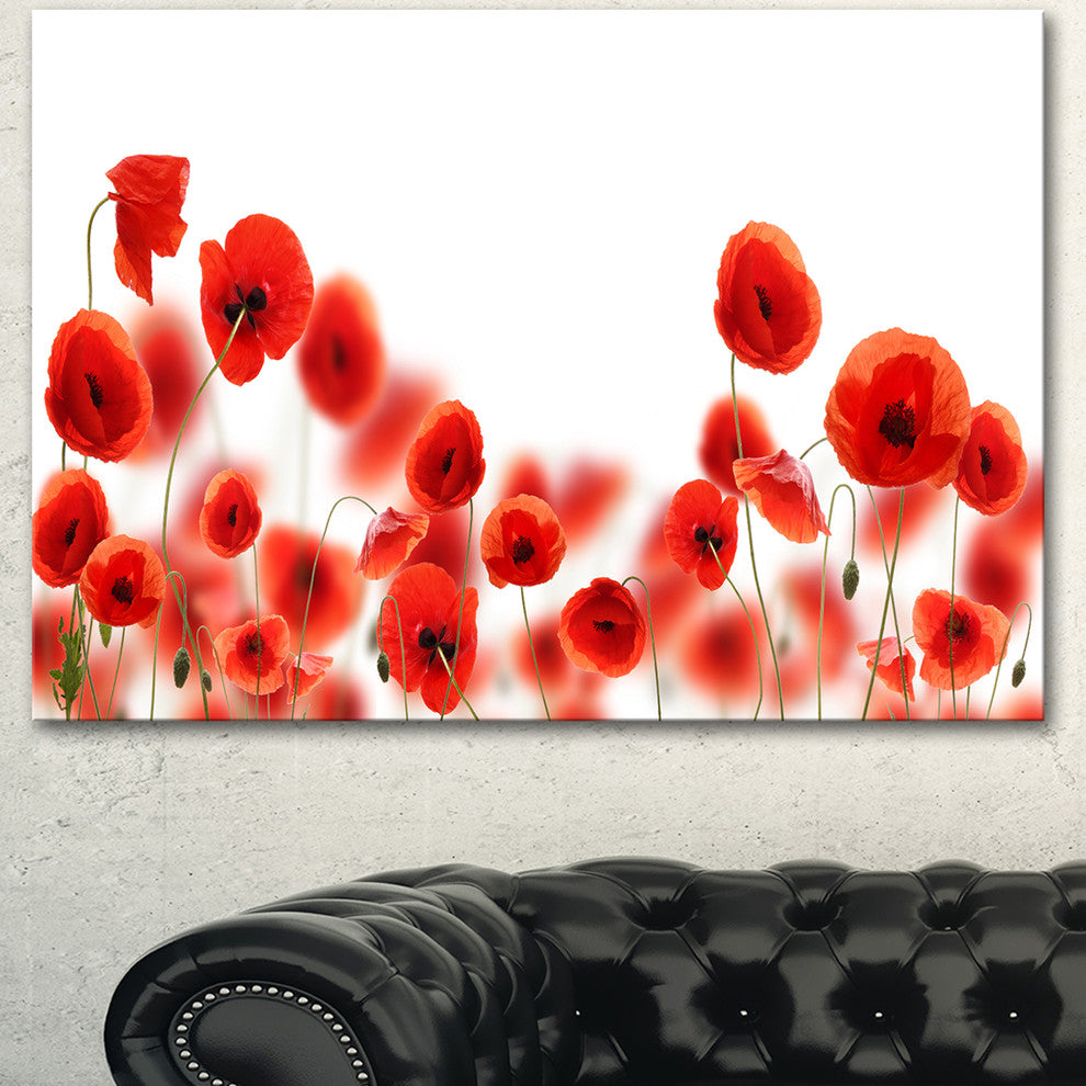 Lovely Poppy Flowers on White, Floral Canvas Art Print, 40"x30"