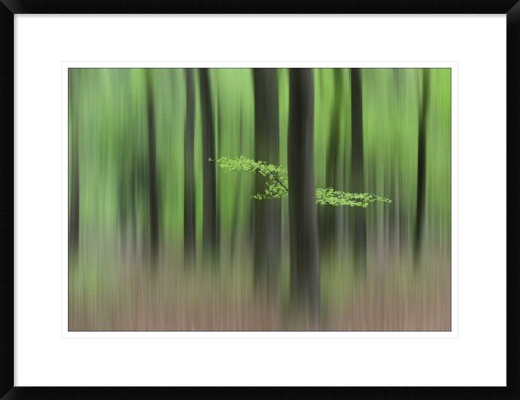 "Spring Morning" Framed Digital Print by Huib Limberg, 30x23"