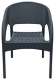 Panama Resin Wickerlook Dining Arm Chair, Dark Gray, Set of 2