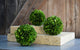 Boxwood Ball 4", (2-Piece Set)