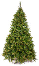 5.5' X 43" Cashmere Pine Led350Multi