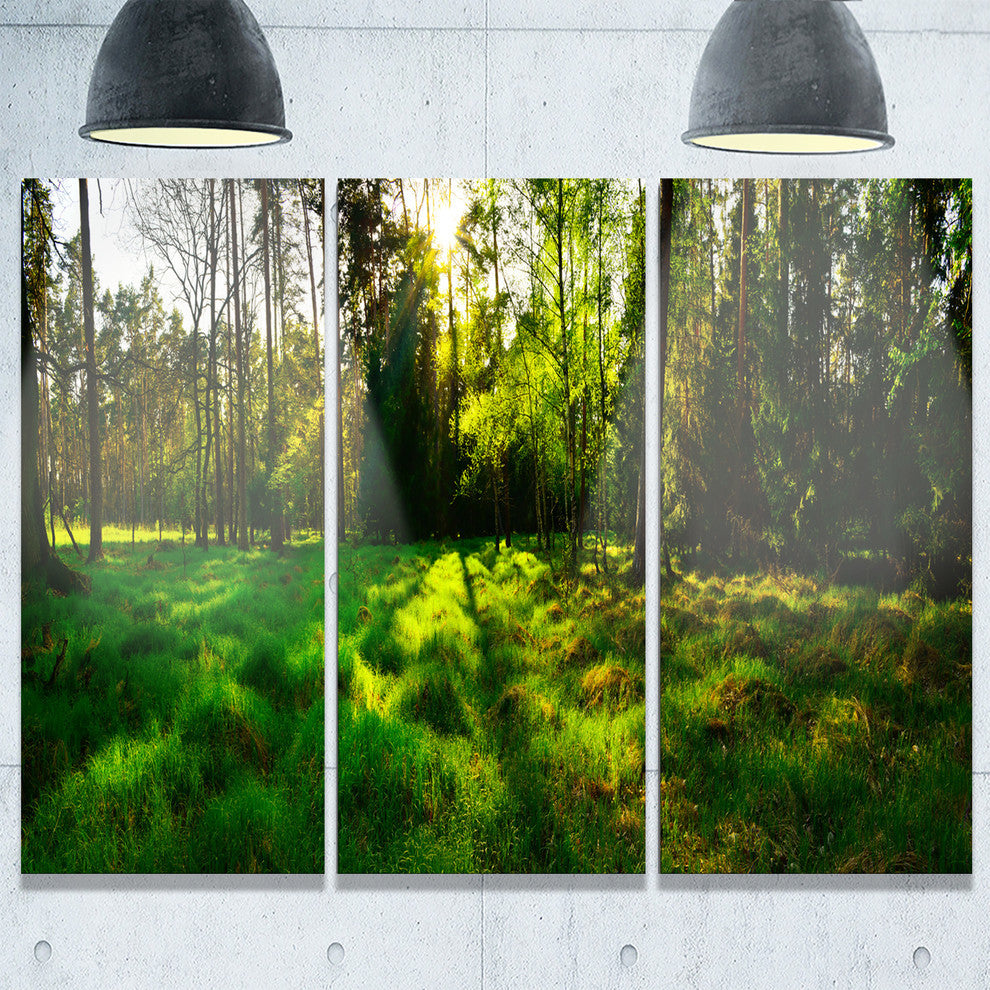 "Green Forest Sunset Panorama" Metal Wall Art, 3 Panels, 36"x28"