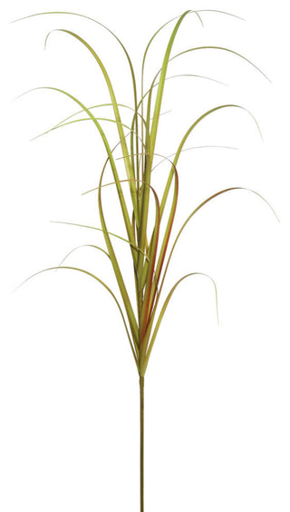 Cropped/zoomed-in view on white background highlighting the plant leaves; no pot visible; fits alternate_white_close category.