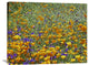 "California Poppy And Desert Bluebell, Antelope Valley, California" Artwork