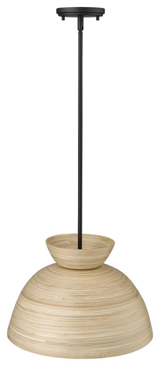 1 Light 16 in. Matte Black Pendant
