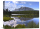 "Mount Rundle And Boreal Forest, Banff National Park, Alberta, Canada" Artwork