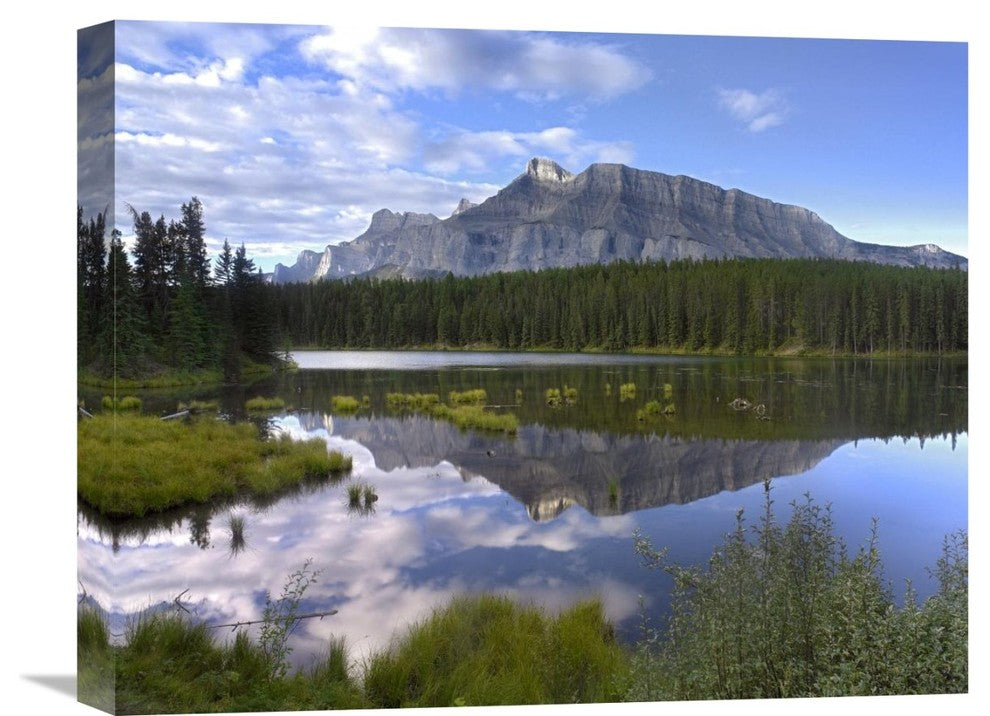 "Mount Rundle And Boreal Forest, Banff National Park, Alberta, Canada" Artwork