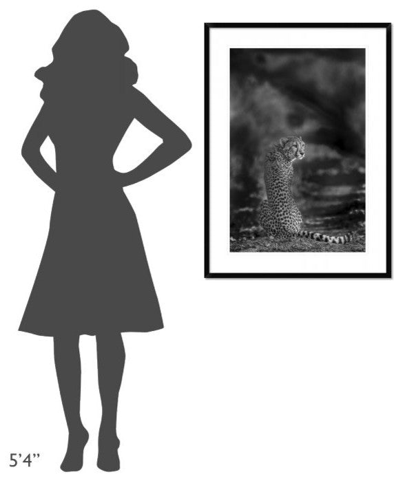 "The Look Back" Framed Digital Print by Jaco Marx, 28"x38"