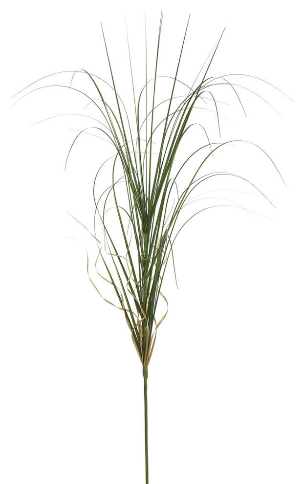 60" Green Curled Grass In Pot