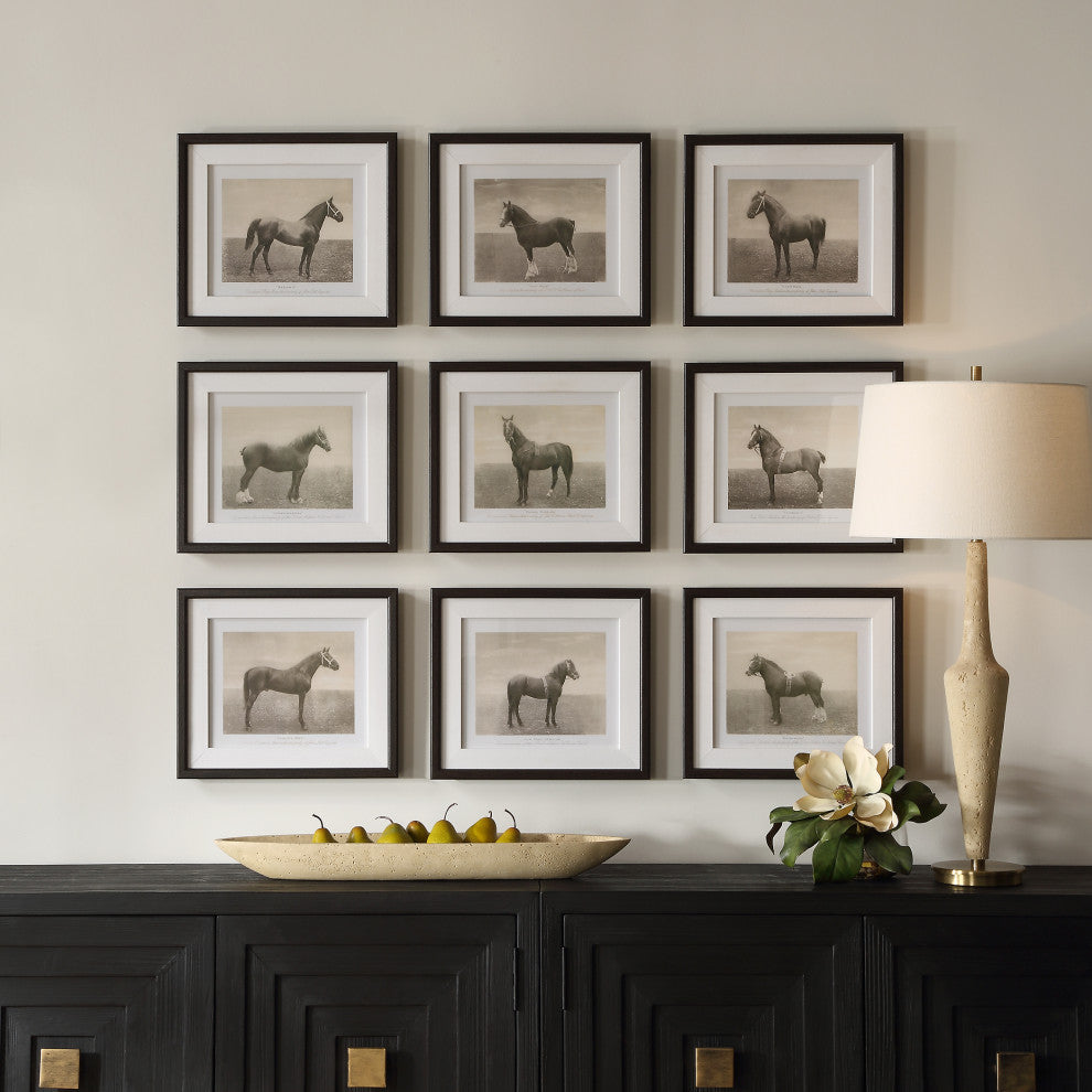 Uttermost - 32343 - Framed Prints, S/9 - Equine Dynasty - Dark Walnut