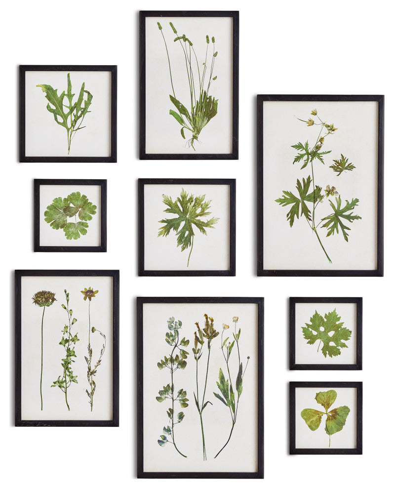 Foliage Prints, Set of 9