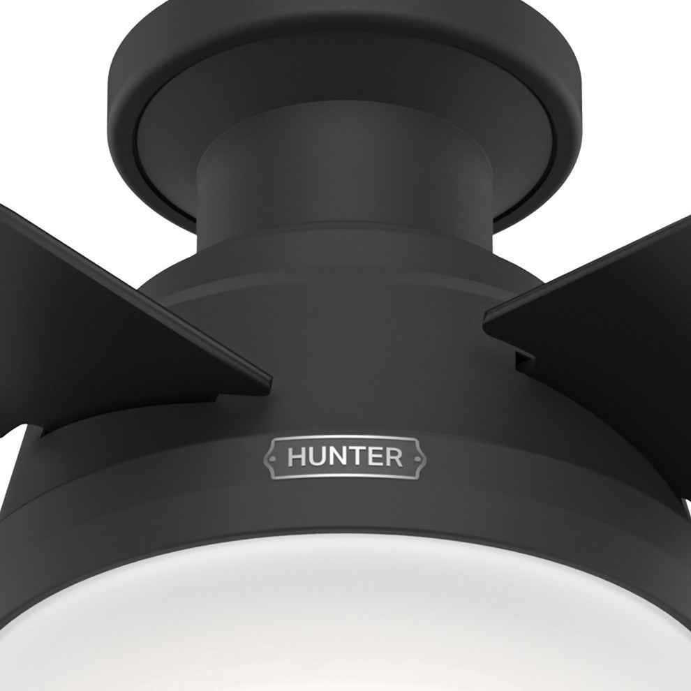 Hunter 44" Dempsey Matte Black Low Profile Ceiling Fan, LED Kit, Remote