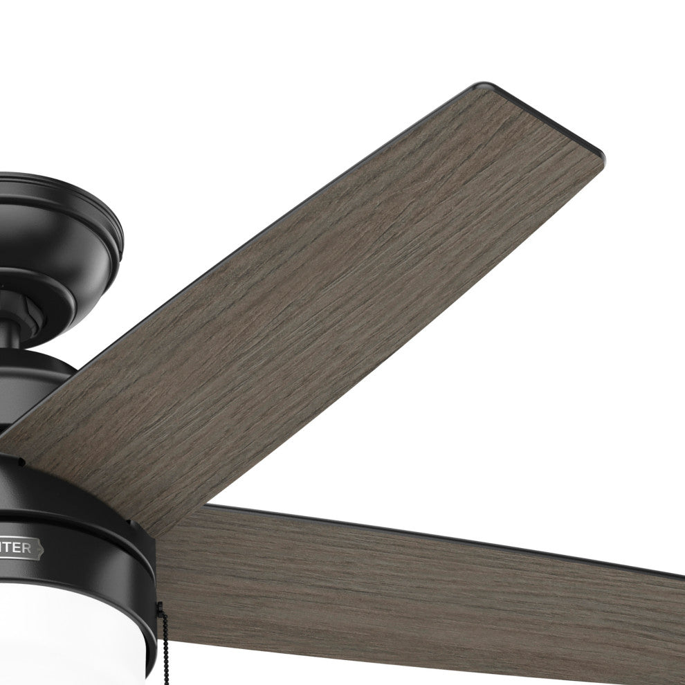 Hunter 44" Bardot Matte Black Ceiling Fan, LED Kit, Pull Chain
