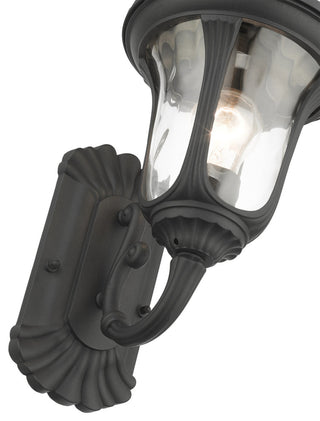 Textured Black Traditional, Victorian, Sculptural, Outdoor Wall Lantern