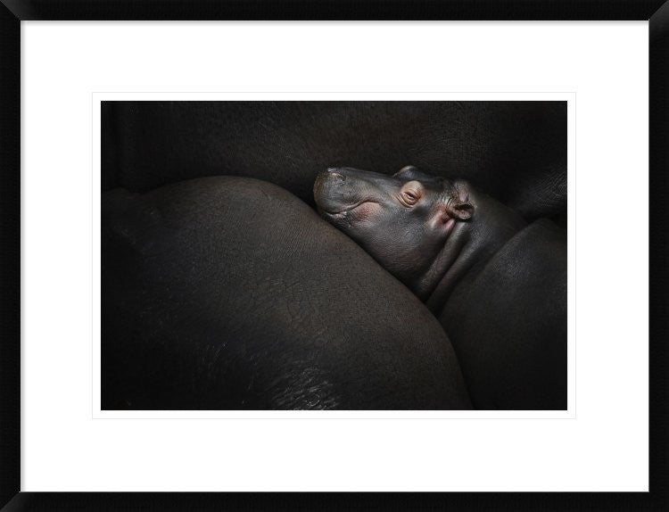 "Dreamin" Framed Digital Print by Zdenek Vales, 26"x20"