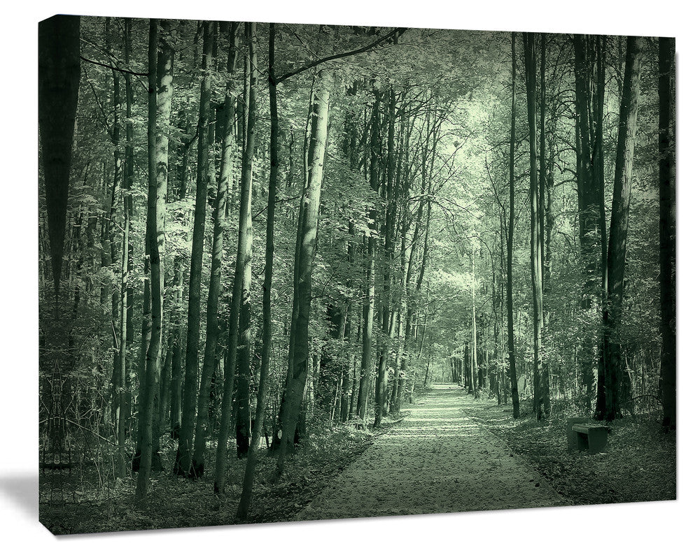 Road in Dark Autumn Forest, Modern Forest Canvas Art, 20"x12"