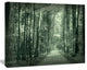 Road in Dark Autumn Forest, Modern Forest Canvas Art, 20"x12"
