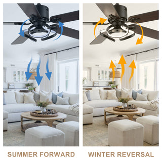 52" Modern Ceiling Fan with 5 Reversible Blades, Remote and LED Light, Black