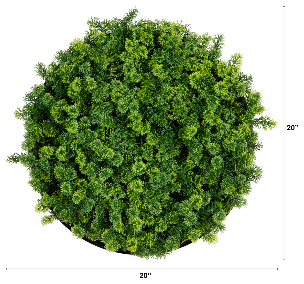 Infographic: white background with measurement lines and 20-inch annotations.
