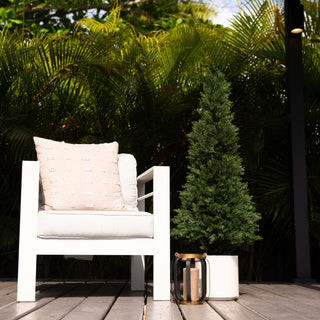 Lifestyle image showing tree with planter beside seating.