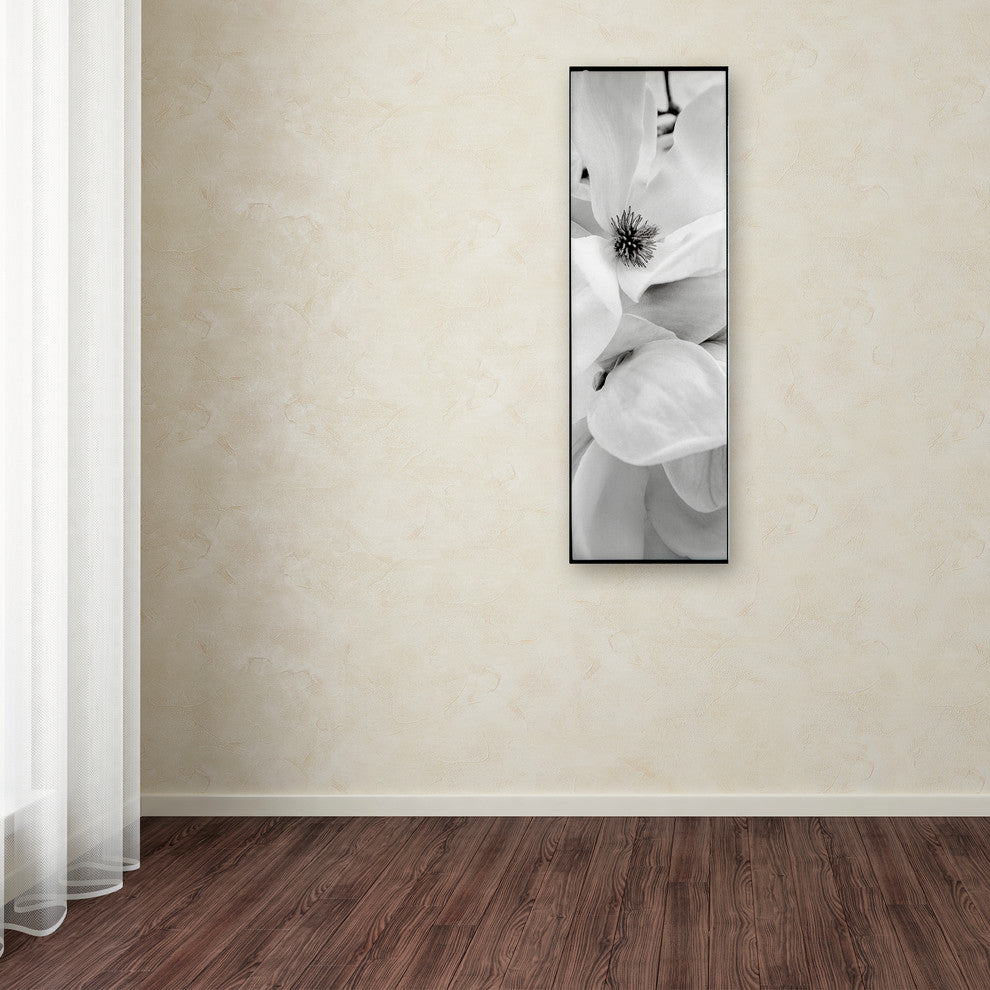 Alan Blaustein 'Magnolia I' Canvas Art, 8x24