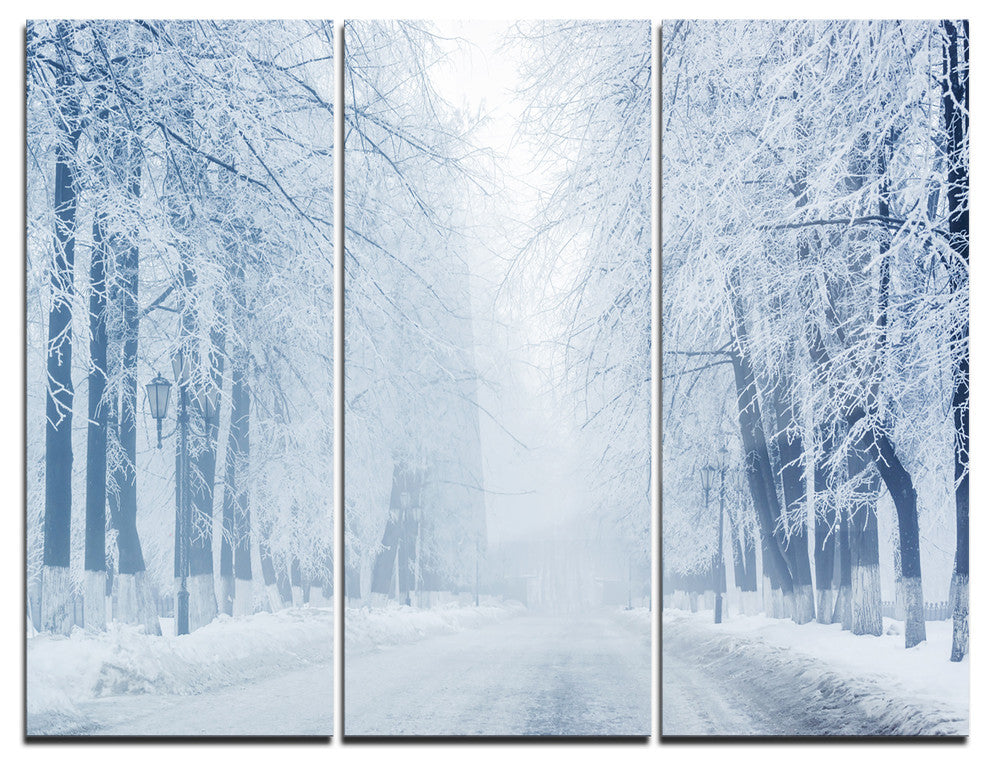 "White Road and Winter Trees" Photo Metal Wall Art, 3 Panels, 36"x28"