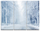 "White Road and Winter Trees" Photo Metal Wall Art, 3 Panels, 36"x28"