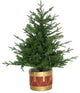 3' Adirondack Pre Lit Potted Christmas Tree Decor With Warm White LED Lights, Warm White Led Lights