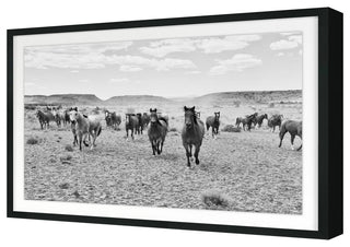Remuda B&W Fine Art Print, Black, 20"x30"