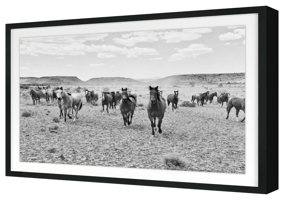 Remuda B&W Fine Art Print, Black, 20"x30"