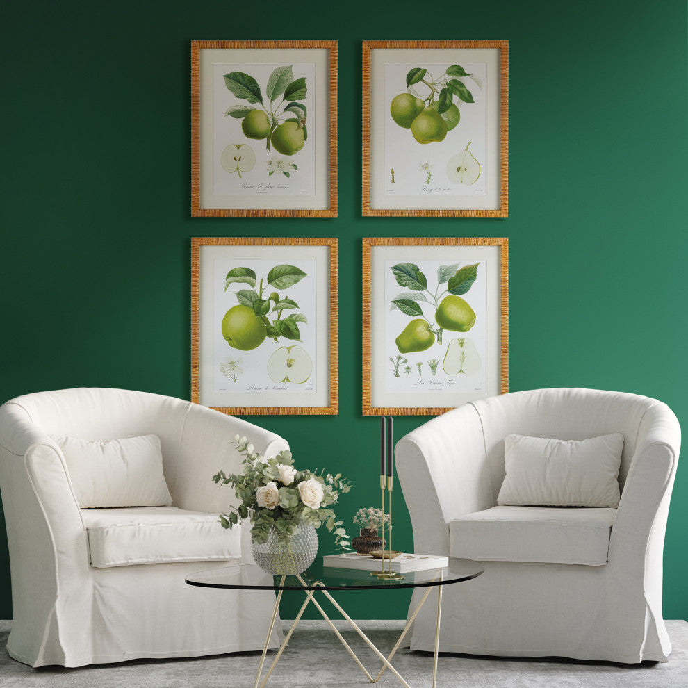 Fruit Study, Set of 4