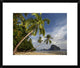 Palm Trees, Pinagbuyutan Island, Palawan, Philippines, 22"x18"