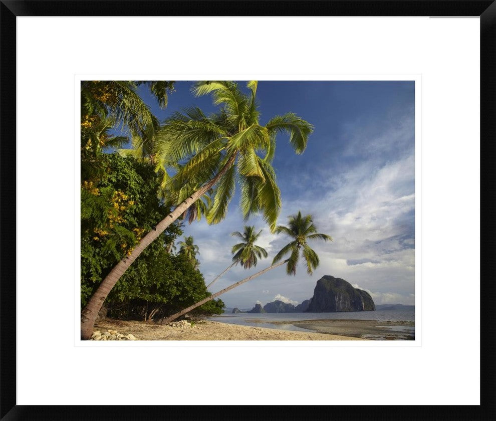Palm Trees, Pinagbuyutan Island, Palawan, Philippines, 22"x18"