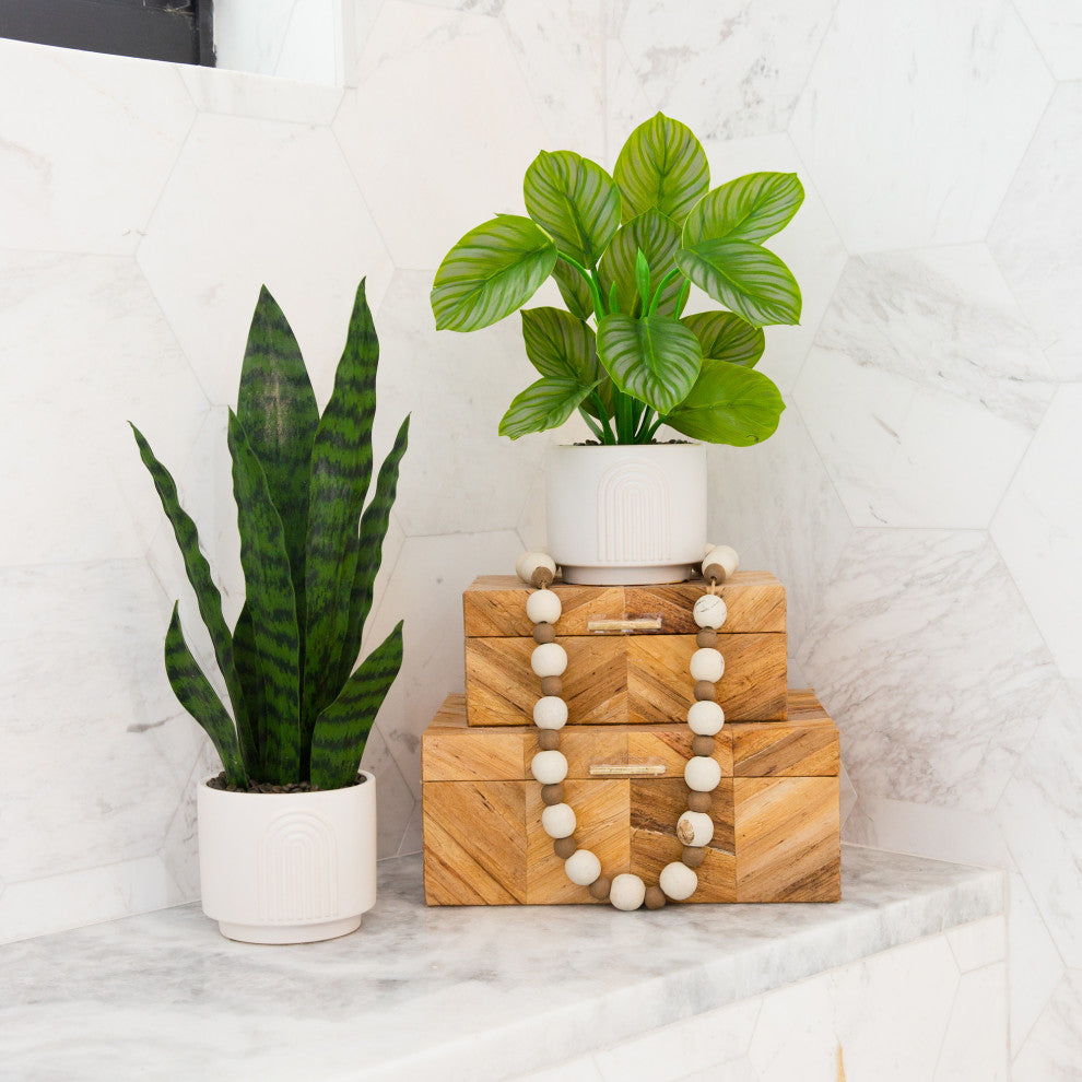 12in. Artificial Calathea Plant with Decorative Planter