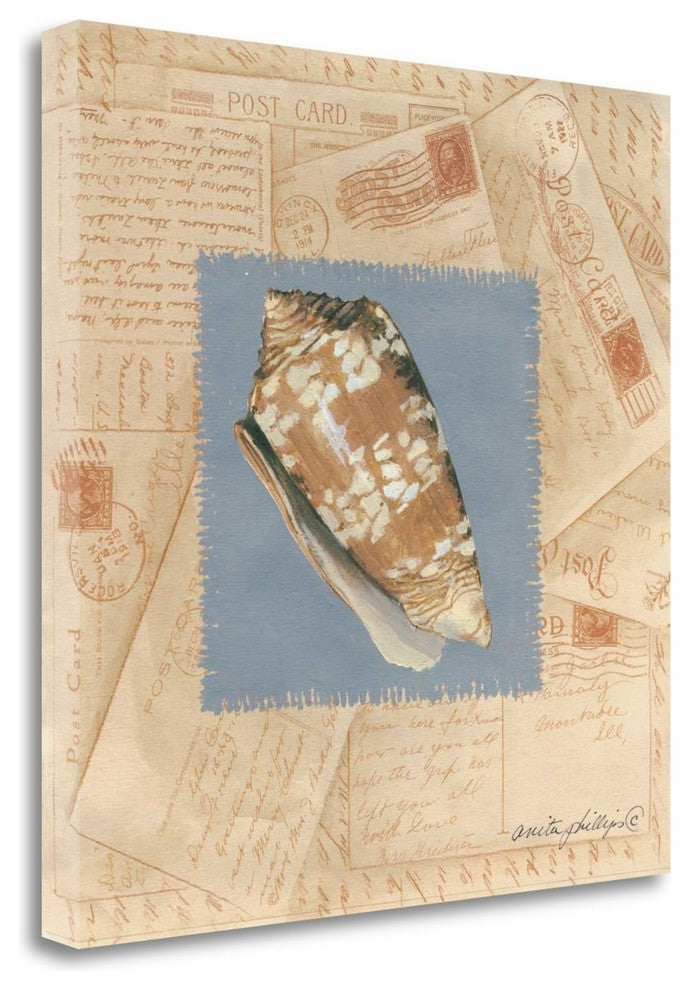 "Marbled Cone" By Anita Phillips, Giclee Print on Gallery Wrap Canvas
