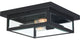 James Allan QZCF42787 Kent 2 Light 12"W Flush Mount Ceiling - Earth Black