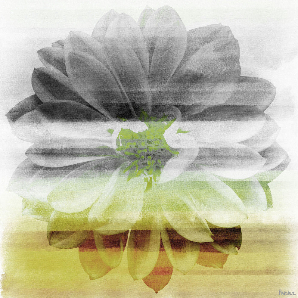 "Bloom" Fine Art Canvas Print, 24"x24"