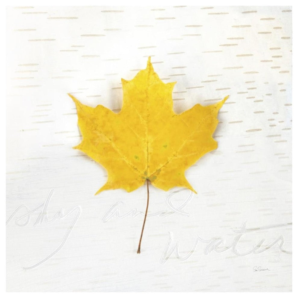 "Autumn Colors II" Digital Paper Print by Sue Schlabach, 26"x26"