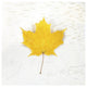 "Autumn Colors II" Digital Paper Print by Sue Schlabach, 26"x26"