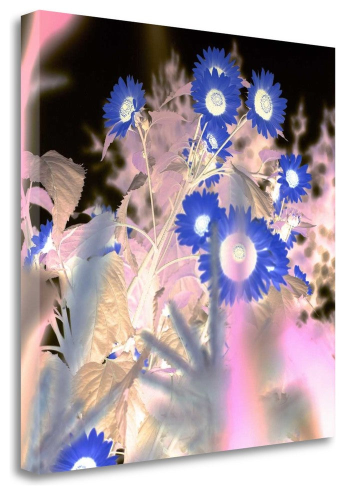 "Floral Color - 8" By Alan Blaustein, Giclee Print on Gallery Wrap Canvas