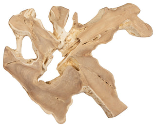 Uttermost Terrains Natural Wood Wall Decor