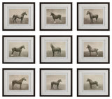 Uttermost - 32343 - Framed Prints, S/9 - Equine Dynasty - Dark Walnut