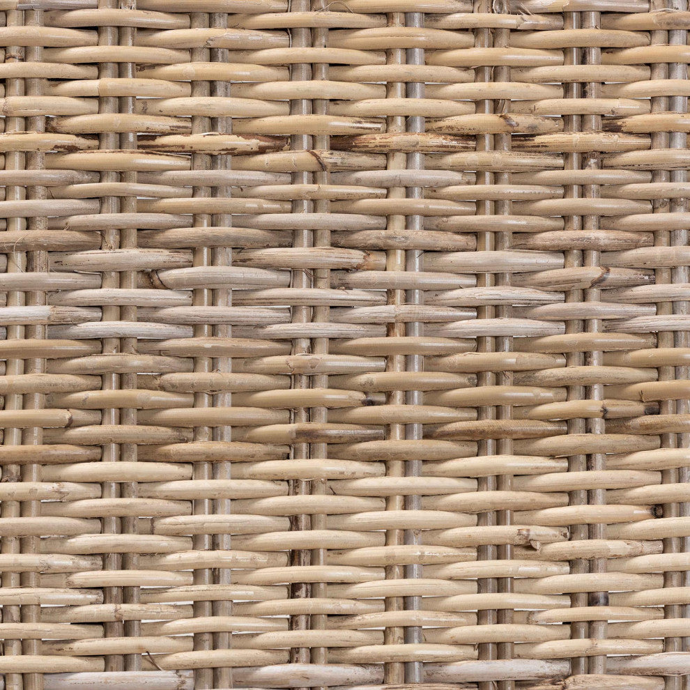 Liana Modern Rattan and Wood Dining Chair