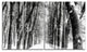 Snowy Forest Black and White, Modern Forest Canvas Art, 48"x28", 4 Panels
