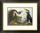 "Red-Necked Grebe" Framed Digital Print by John James Audubon, 26"x22"