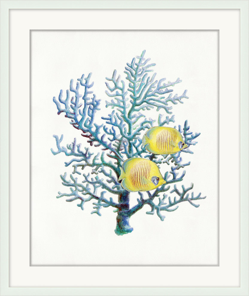 Fish And Coral 3, Giclee Reproduction Artwork