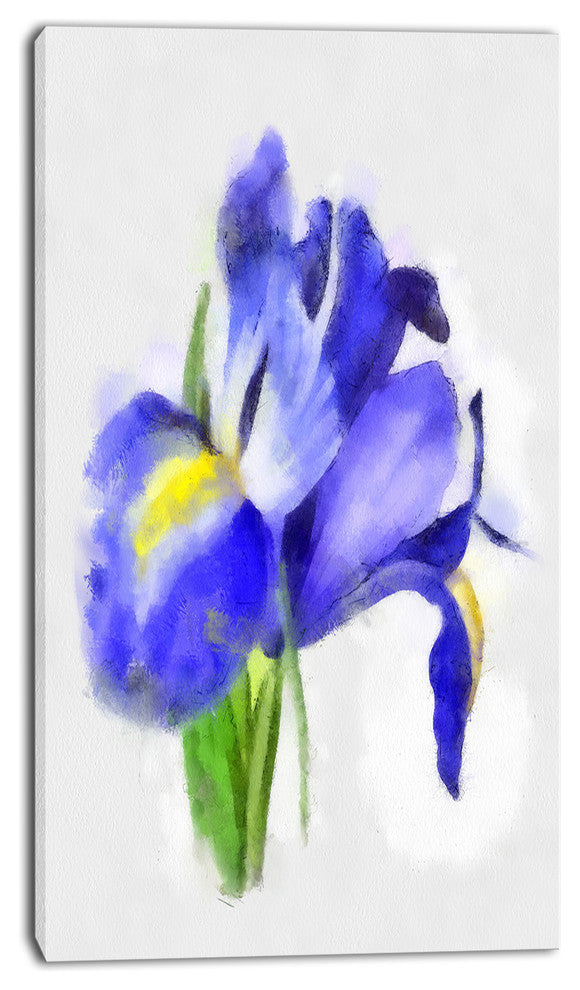 Blue Iris Illustration Watercolor, Floral Canvas Art Print, 16"x32"