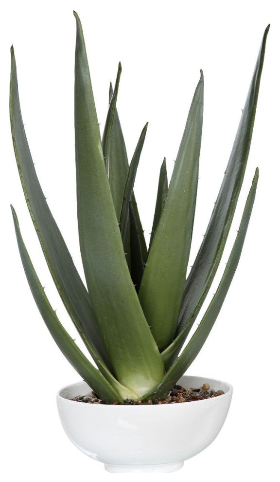 Uttermost Evarado Aloe Planter